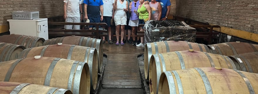 Visite de la côte d'Albufeira, cave et délicieux déjeuner à base de poulet