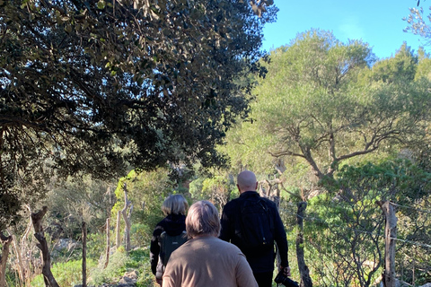 Expérience de la randonnée dans la Sierra de TramuntanaSierra de Tramuntana - randonnée hivernale