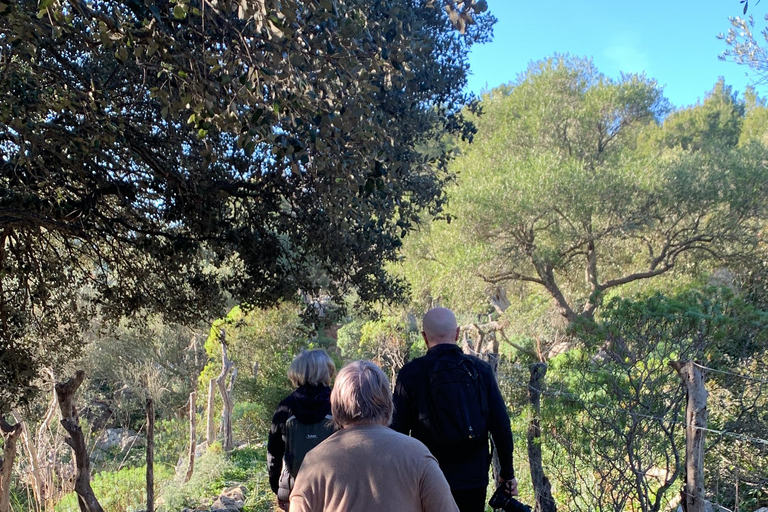 Expérience de la randonnée dans la Sierra de TramuntanaSierra de Tramuntana - randonnée hivernale