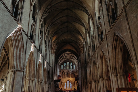 Dublin: Trinity College, Castle, Guinness and Whiskey Tour