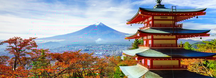Depuis Tokyo : Excursion d'une journée au Mont Fuji