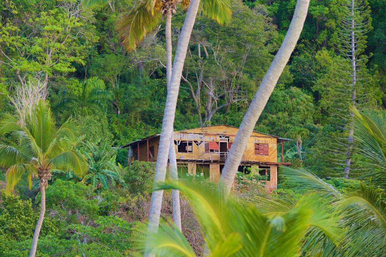 Tropical Tranquility: Discover Samana, Playa Rincón and much