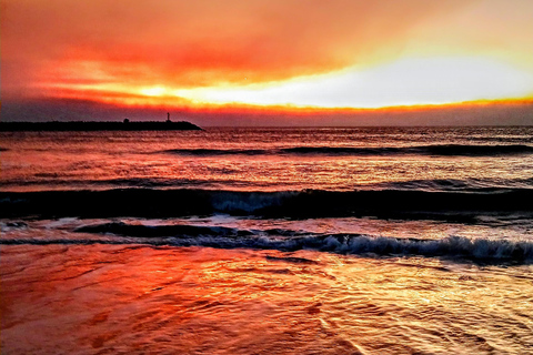 Marina Del Rey: Crociera in barca con vino e salumi o cenaOpzione cena