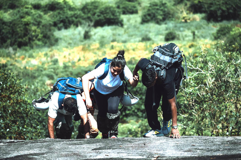 Sinharaja Rain Forest UNESCO Walk and Bird Watching Day Tour Sinharaja Endemics: Rain Forest UNESCO Bird Watching Day