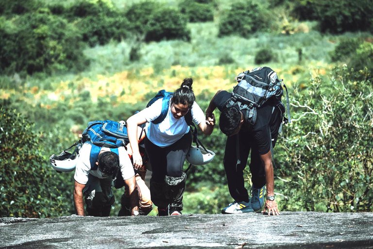 Sinharaja Rain Forest UNESCO Walk and Bird Watching Day Tour Sinharaja Endemics: Rain Forest UNESCO Bird Watching Day