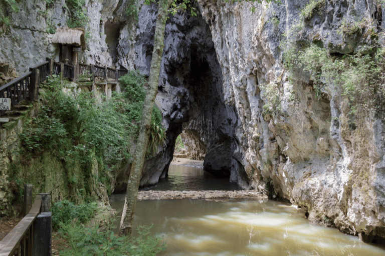 Chiapas: Grutas de Rancho Nuevo and Arcotete Half-Day Tour