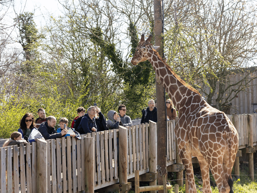 Bristol: Bristol Zoo Project Toegangsbewijs | GetYourGuide