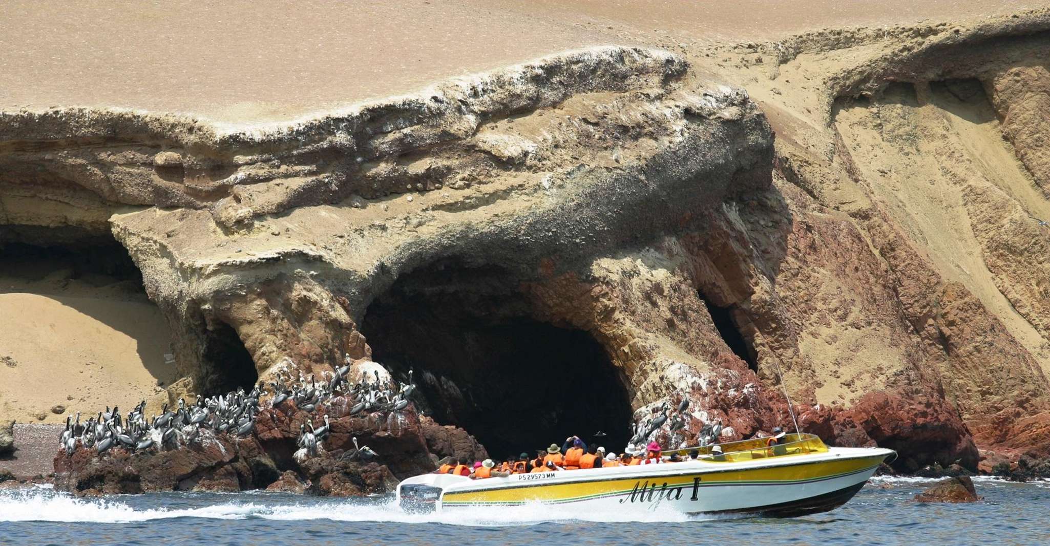 Ballestas Islands & Paracas National Reserve Day Trip - Housity