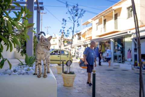 Corfu: Viagem de ônibus e natação no Canal d&#039;Amour, Kassiopi e Barbati