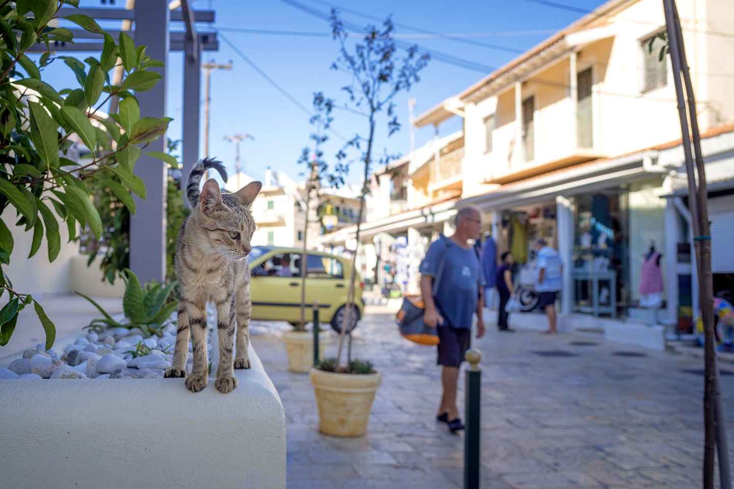 Corfu: Bus Trip & Swim at Canal d'Amour, Kassiopi, & Barbati