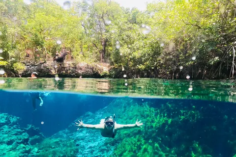 VIP 3 Cenotes Tour privado