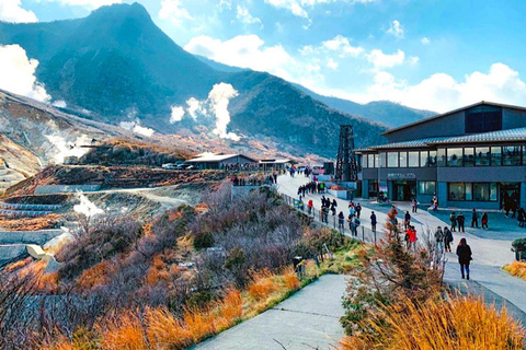 Prywatna wycieczka z przewodnikiem po górze Fuji i Hakone