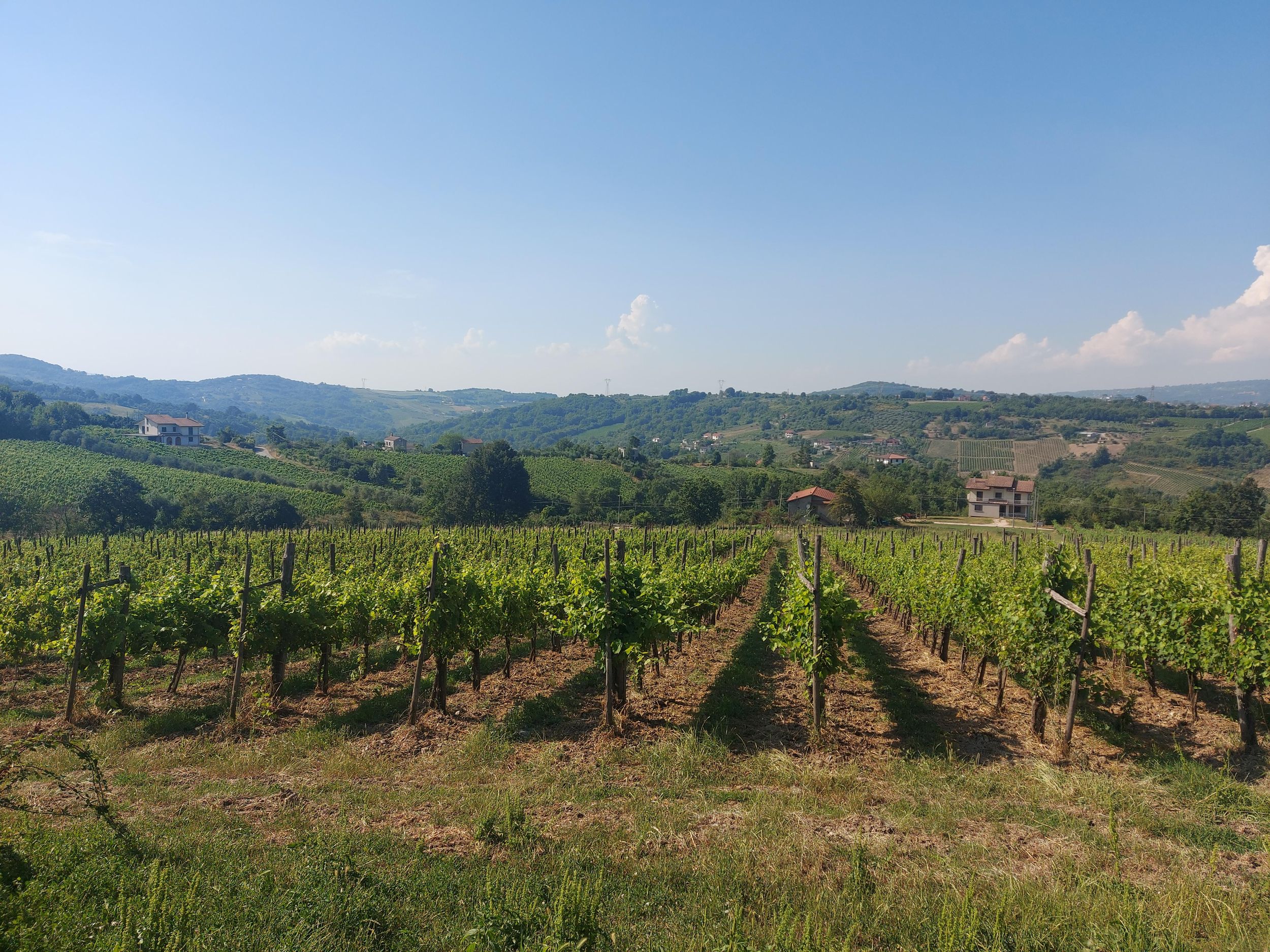 Von Salerno aus: Irpinia Wine Tour Halbtagestour