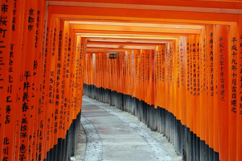 Kyoto & Nara Customized Private English Guided Tour