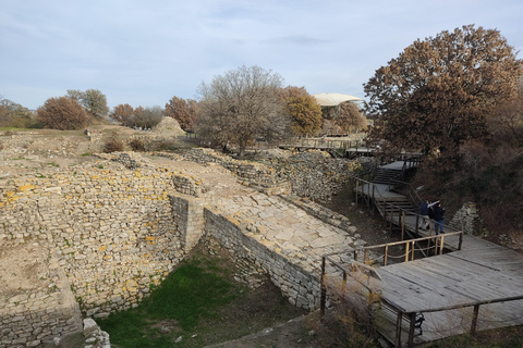 Istanbul: Troy Guided Day Trip with Ferry Ride