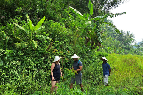 From Yogyakarta: Selogriyo Rice Terraces to Hidden Waterfall