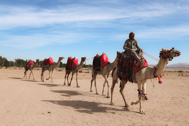 camel ride with sunset and star watchingpickup from hotels inside hurghada