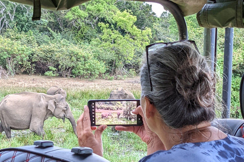 De Hikkaduwa/ Galle/ Mirissa - Safari dans le parc national de Yala