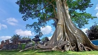 Bali , Amazing Hidden Gems in Bali Nature, Temple & Watefall - Housity