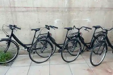 CITYBIKE/ easy Classic FOR 24 hours with Free delivery!