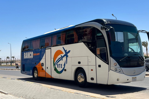 From Hurghada: Luxor Day Trip Valley of the Kings by bus