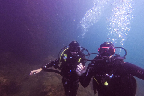 Napoli: Discover Scuba Diving in the Park of Baia Napoli: Double Discover Scuba Diving in the Park of Baia
