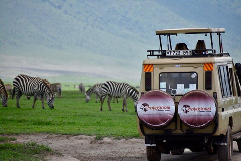 5 dias Toque de Migração no Serengeti e Cratera de Ngorongoro