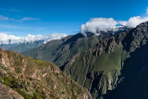 Excursion au Canyon de Colca depuis Arequipa