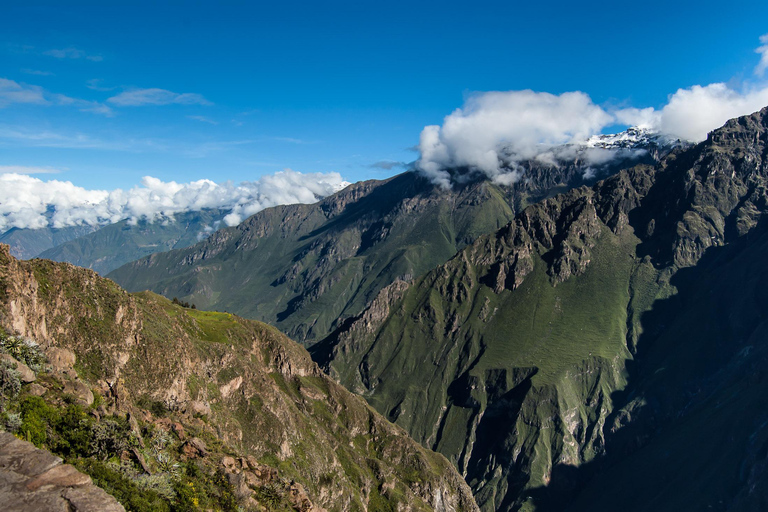 Colca Canyon Tour from Arequipa