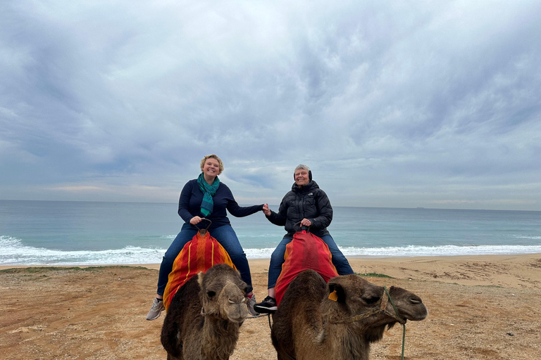 From Seville: VIP Tangier tour, all included.