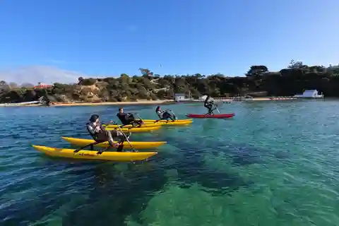 Sorrento, Mornington Peninsula Waterbike Tour