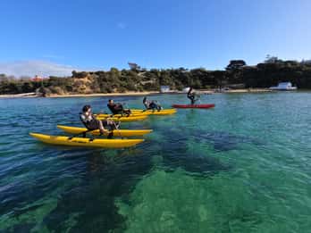 Excursão de bicicleta aquática em Sorrento, Península Mornington