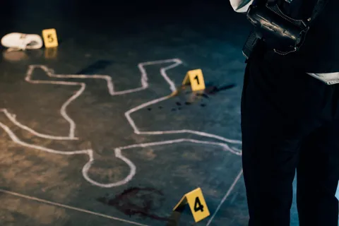Colónia: visita guiada Crime no Reno