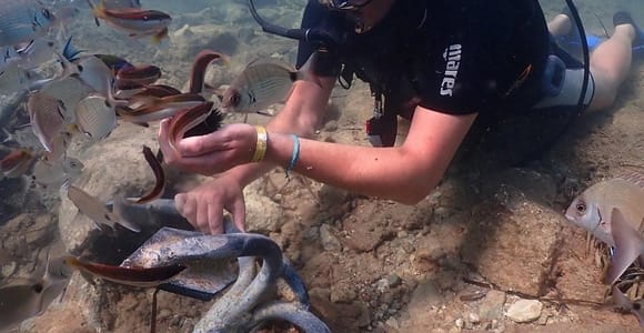 Kuşadası: Boat Trip with Scuba Diving, Snorkeling, and Lunch