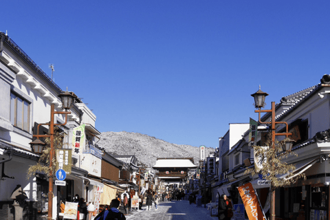 Nagano: Snow Monkeys, Zenkoji Temple & Sake Day Trip