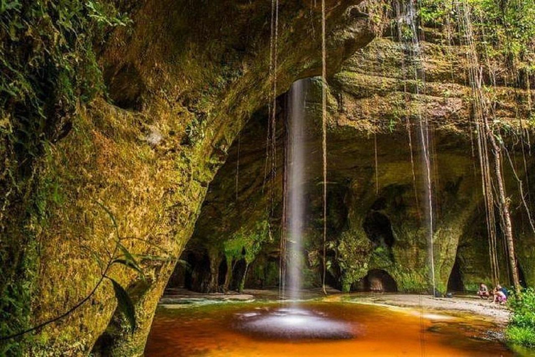 Manaus : Excursion d&#039;une journée aux chutes d&#039;eau de Presidente Figueiredo