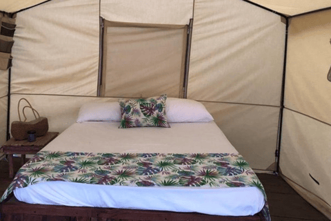 Bahía de las águilas glamping experience from Santo Domingo