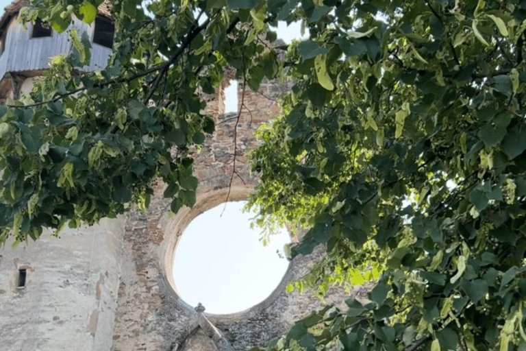 Sibiu: Țara Oltului and Țara Făgărașului Day Trip