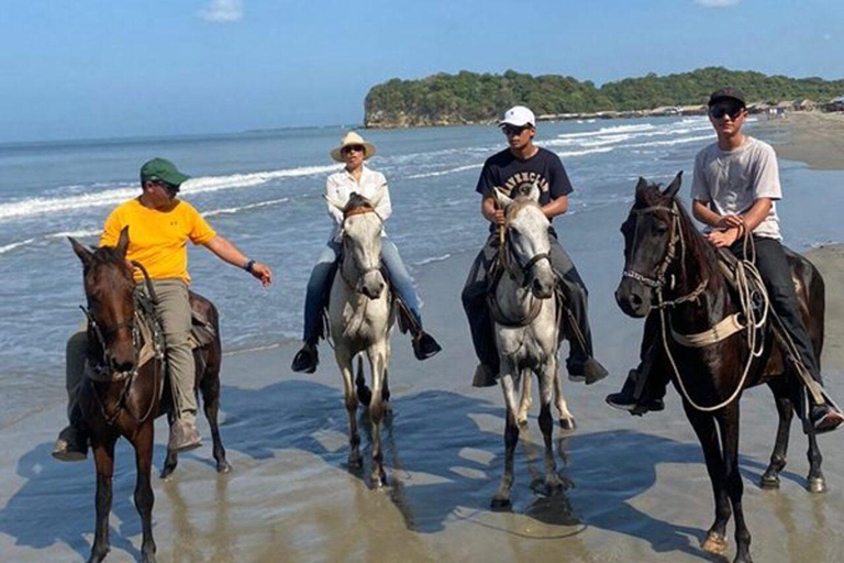 Horseback riding along the beaches of Cartagena at Sunset