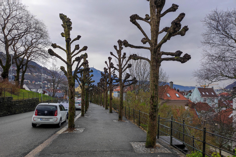 Bergen in a Nutshell: See It All in One Day