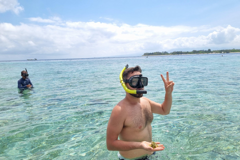 Gili Island Schnorcheln: Gili Trawangan, Meno und AirStart vom Gebiet Lombok