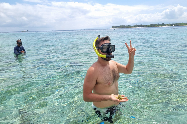 Snorkeling na wyspie Gili: Gili Trawangan, Meno i AirRozpocznij od obszaru Lombok