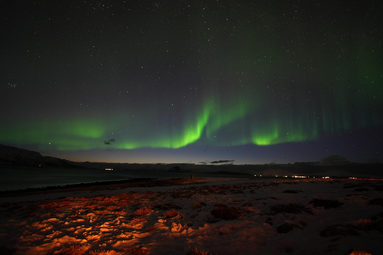 Chassez la magie des aurores boréales à Tromsø, en Norvège