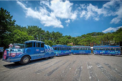 Un completo tour en grupo reducido por Busan con un guía titulado