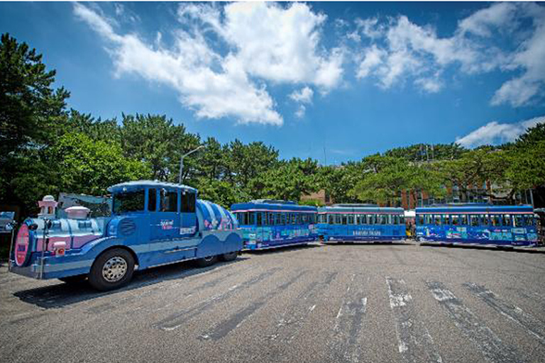 Un completo tour en grupo reducido por Busan con un guía titulado