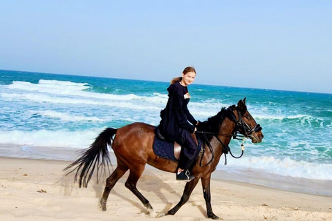 Djerba: een leuke dag met paarden, dromedarissen en quads, inclusief maaltijd