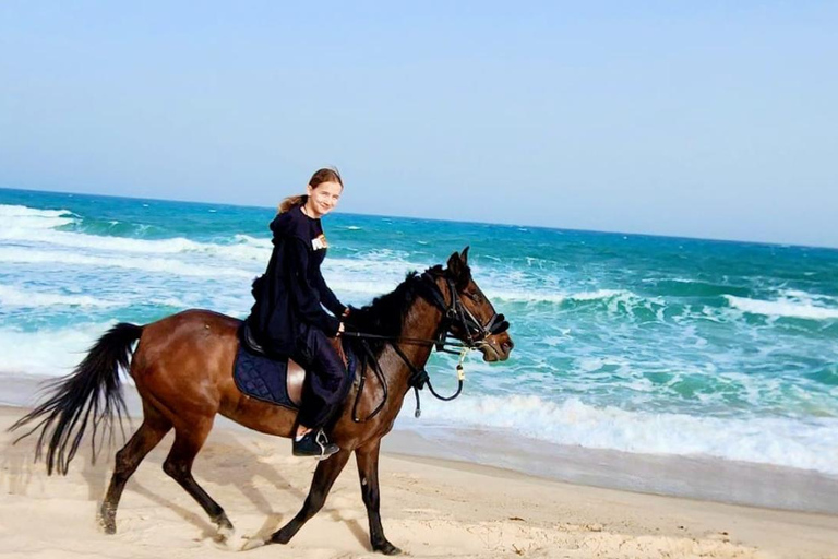 Djerba: een leuke dag met paarden, dromedarissen en quads, inclusief maaltijd