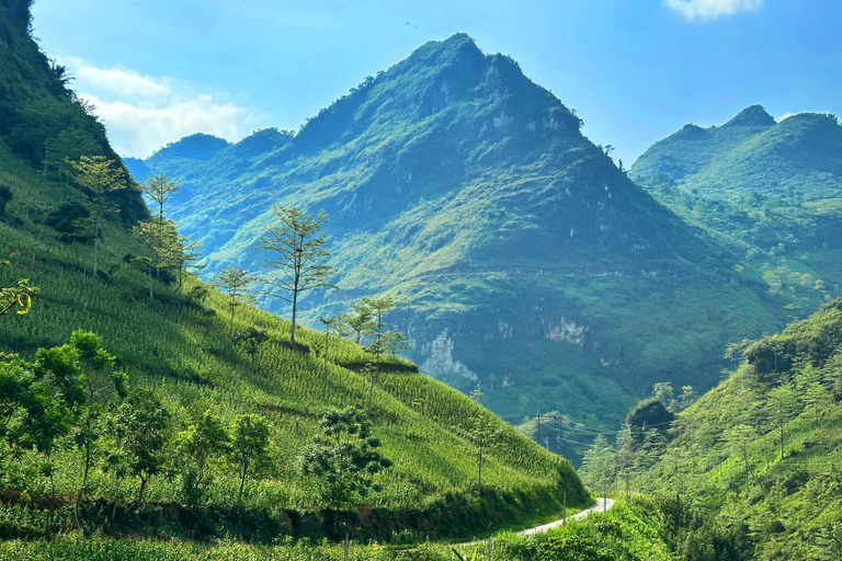 Hanoi: Transfer to or from Ha Giang in a VIP Sleeper Bus From Hanoi to Ha Giang