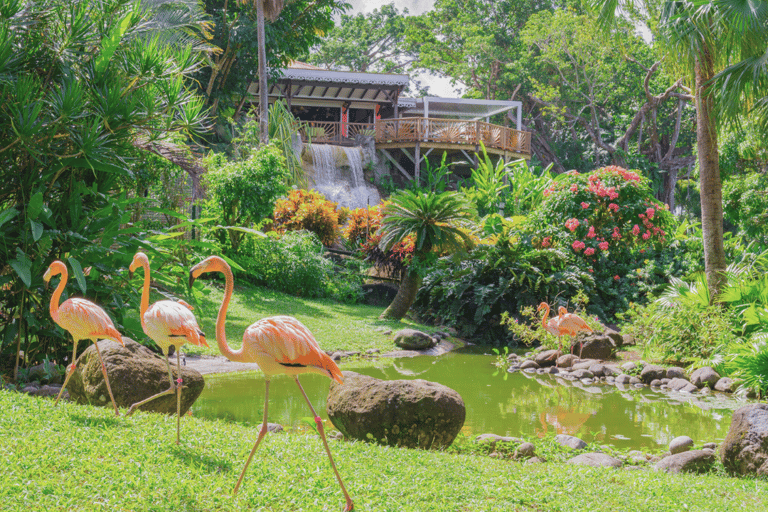 From Pointe-à-Pitre: Death in Paradise & Botanical Garden