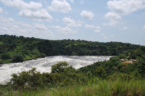 Uganda: Murchison Falls National Park 3-Day Safari Tour